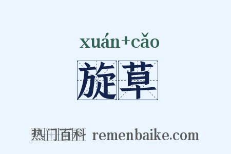 旋草是什么意思的图片